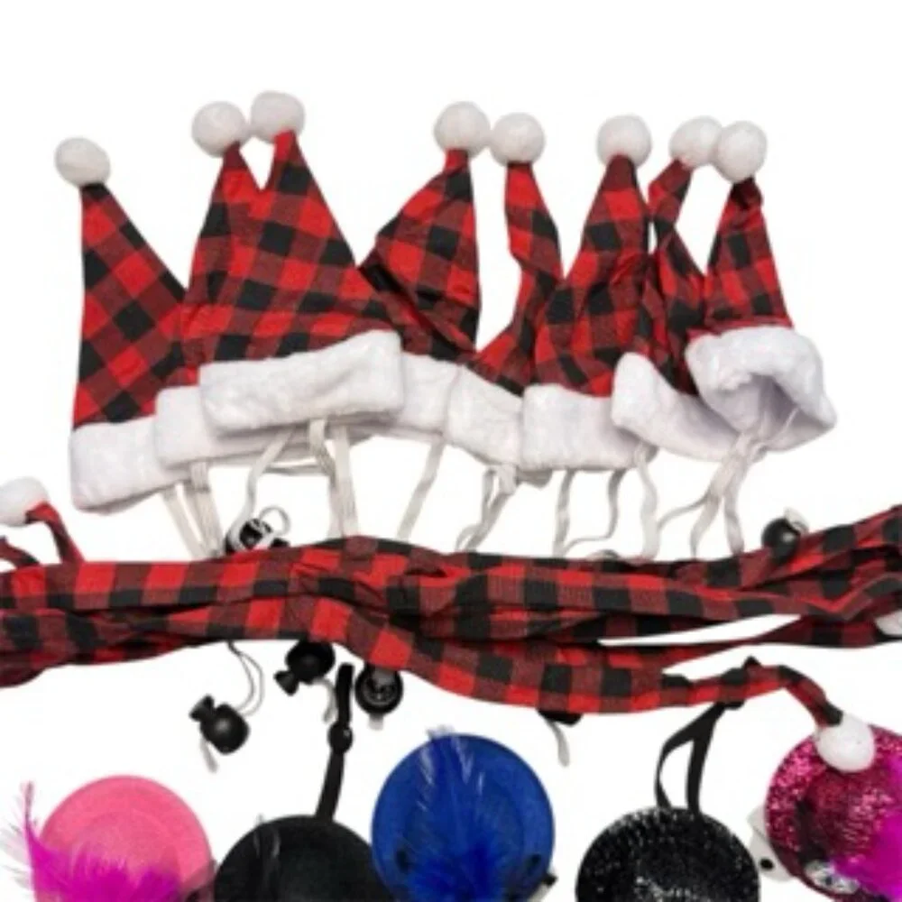 Chicken hats and accessories